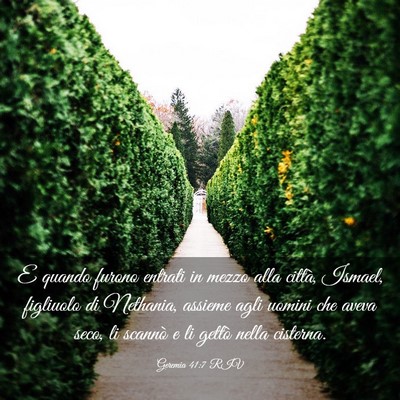 Picture 03 - Geremia 41:7 RIV - E quando furono entrati in mezzo alla città, - Bible Verse Picture
