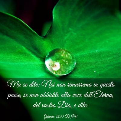 Picture 03 - Geremia 42:13 RIV - Ma se dite: Noi non rimarremo in questo paese, se - Bible Verse Picture