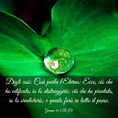 Picture 03 - Geremia 45:4 RIV - Digli così: Così parla l’Eterno: Ecco, ciò - Bible Verse Picture