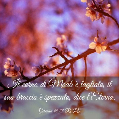 Picture 03 - Geremia 48:25 RIV - Il corno di Moab è tagliato, il suo braccio è - Bible Verse Picture