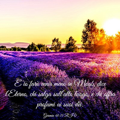 Picture 03 - Geremia 48:35 RIV - E io farò venir meno in Moab, dice l’Eterno, - Bible Verse Picture