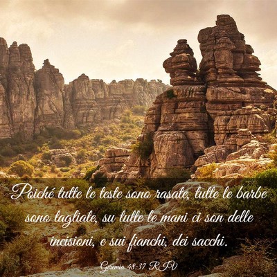 Picture 03 - Geremia 48:37 RIV - Poiché tutte le teste sono rasate, tutte le - Bible Verse Picture