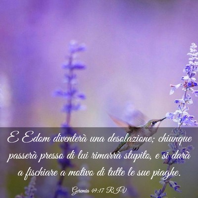 Picture 03 - Geremia 49:17 RIV - E Edom diventerà una desolazione; chiunque - Bible Verse Picture