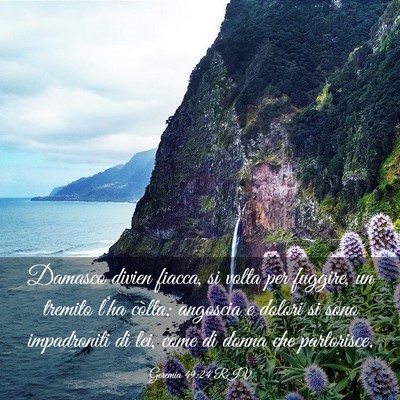 Picture 03 - Geremia 49:24 RIV - Damasco divien fiacca, si volta per fuggire, un - Bible Verse Picture