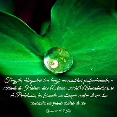 Picture 03 - Geremia 49:30 RIV - Fuggite, dileguatevi ben lungi, nascondetevi - Bible Verse Picture