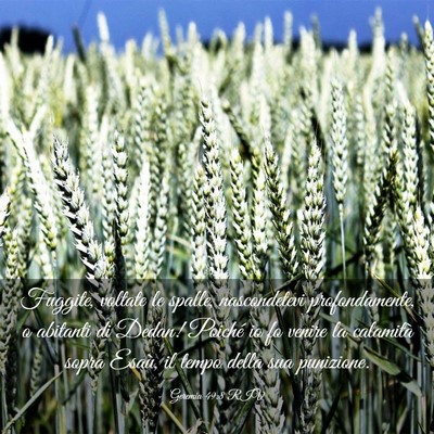 Picture 03 - Geremia 49:8 RIV - Fuggite, voltate le spalle, nascondetevi - Bible Verse Picture