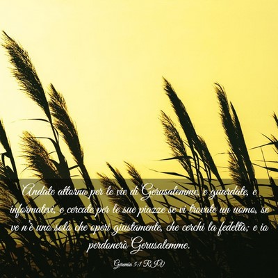Picture 03 - Geremia 5:1 RIV - Andate attorno per le vie di Gerusalemme, e - Bible Verse Picture