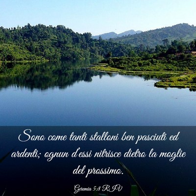 Picture 03 - Geremia 5:8 RIV - Sono come tanti stalloni ben pasciuti ed ardenti; - Bible Verse Picture