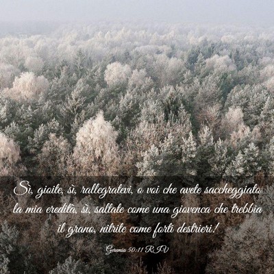 Picture 03 - Geremia 50:11 RIV - Sì, gioite, sì, rallegratevi, o voi che avete - Bible Verse Picture