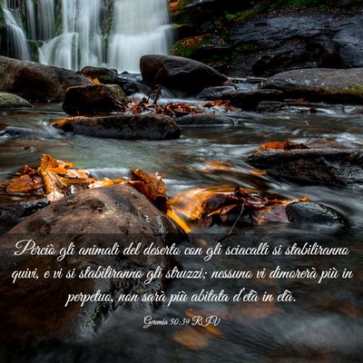 Picture 03 - Geremia 50:39 RIV - Perciò gli animali del deserto con gli sciacalli - Bible Verse Picture