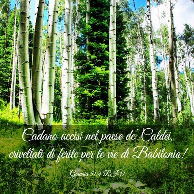 Picture 03 - Geremia 51:4 RIV - Cadano uccisi nel paese de’ Caldei, crivellati - Bible Verse Picture