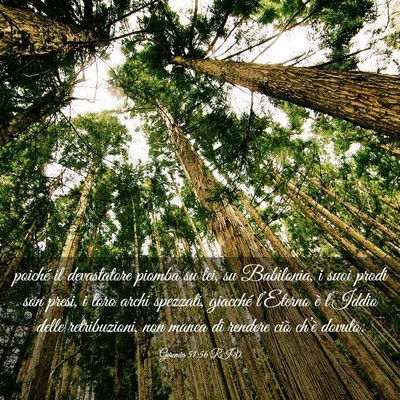 Picture 03 - Geremia 51:56 RIV - poiché il devastatore piomba su lei, su - Bible Verse Picture