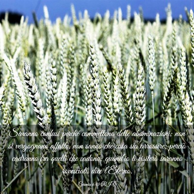 Picture 03 - Geremia 6:15 RIV - Saranno confusi perché commettono delle - Bible Verse Picture