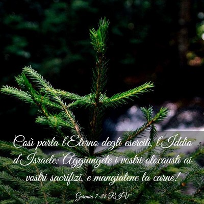 Picture 03 - Geremia 7:21 RIV - Così parla l’Eterno degli eserciti, l’Iddio - Bible Verse Picture