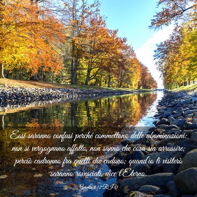 Picture 03 - Geremia 8:12 RIV - Essi saranno confusi perché commettono delle - Bible Verse Picture