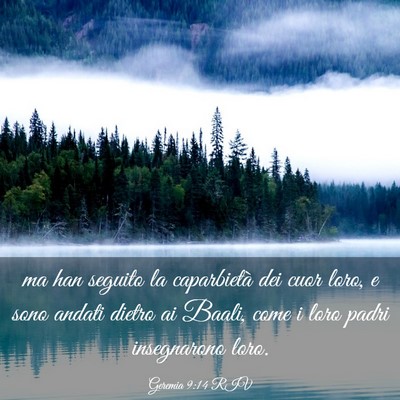 Picture 03 - Geremia 9:14 RIV - ma han seguito la caparbietà dei cuor loro, e - Bible Verse Picture