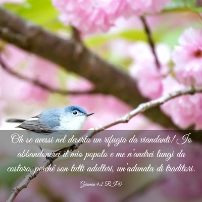 Picture 03 - Geremia 9:2 RIV - Oh se avessi nel deserto un rifugio da viandanti! - Bible Verse Picture