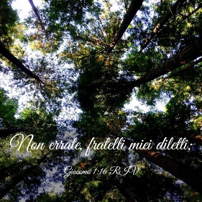 Picture 03 - Giacomo 1:16 RIV - Non errate, fratelli miei - Bible Verse Picture