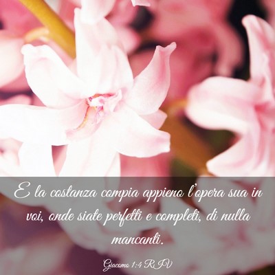 Picture 03 - Giacomo 1:4 RIV - E la costanza compia appieno l’opera sua in - Bible Verse Picture