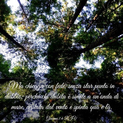 Picture 03 - Giacomo 1:6 RIV - Ma chiegga con fede, senza star punto in dubbio; - Bible Verse Picture