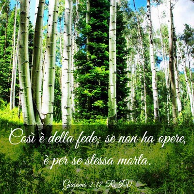 Picture 03 - Giacomo 2:17 RIV - Così è della fede; se non ha opere, è per se - Bible Verse Picture