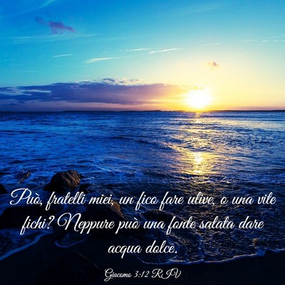 Picture 03 - Giacomo 3:12 RIV - Può, fratelli miei, un fico fare ulive, o una - Bible Verse Picture
