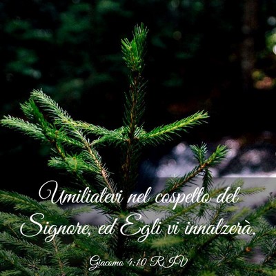 Picture 03 - Giacomo 4:10 RIV - Umiliatevi nel cospetto del Signore, ed Egli vi - Bible Verse Picture