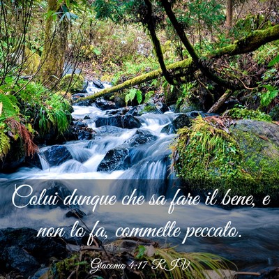 Picture 03 - Giacomo 4:17 RIV - Colui dunque che sa fare il bene, e non lo fa, - Bible Verse Picture