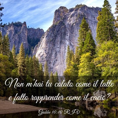 Picture 03 - Giobbe 10:10 RIV - Non m’hai tu colato come il latte e fatto - Bible Verse Picture