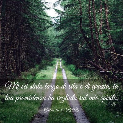 Picture 03 - Giobbe 10:12 RIV - Mi sei stato largo di vita e di grazia, la tua - Bible Verse Picture