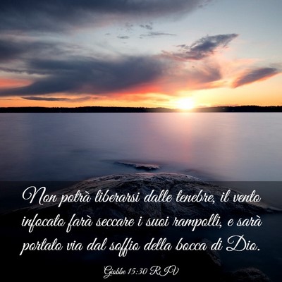 Picture 03 - Giobbe 15:30 RIV - Non potrà liberarsi dalle tenebre, il vento - Bible Verse Picture