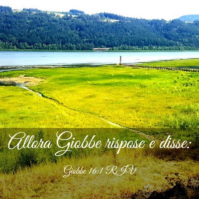 Picture 03 - Giobbe 16:1 RIV - Allora Giobbe rispose e - Bible Verse Picture