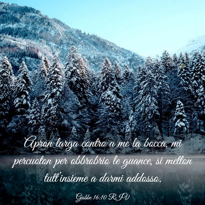 Picture 03 - Giobbe 16:10 RIV - Apron larga contro a me la bocca, mi percuoton - Bible Verse Picture