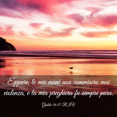 Picture 03 - Giobbe 16:17 RIV - Eppure, le mie mani non commisero mai violenza, e - Bible Verse Picture