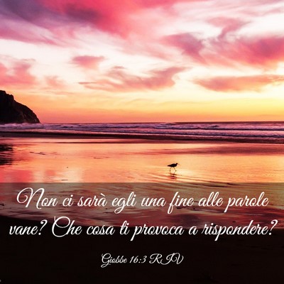 Picture 03 - Giobbe 16:3 RIV - Non ci sarà egli una fine alle parole vane? Che - Bible Verse Picture