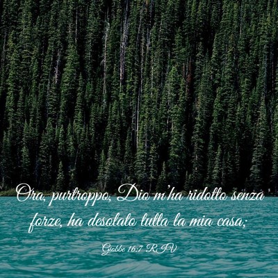 Picture 03 - Giobbe 16:7 RIV - Ora, purtroppo, Dio m’ha ridotto senza forze, - Bible Verse Picture