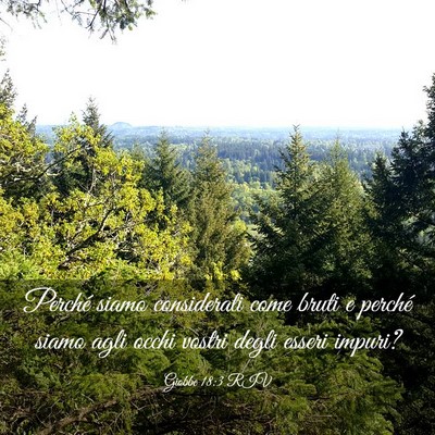 Picture 03 - Giobbe 18:3 RIV - Perché siamo considerati come bruti e perché - Bible Verse Picture