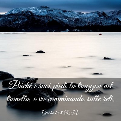 Picture 03 - Giobbe 18:8 RIV - Poiché i suoi piedi lo traggon nel tranello, e - Bible Verse Picture