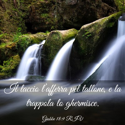Picture 03 - Giobbe 18:9 RIV - Il laccio l’afferra pel tallone, e la trappola - Bible Verse Picture