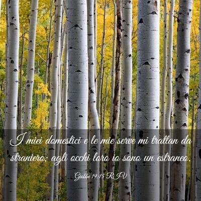 Picture 03 - Giobbe 19:15 RIV - I miei domestici e le mie serve mi trattan da - Bible Verse Picture
