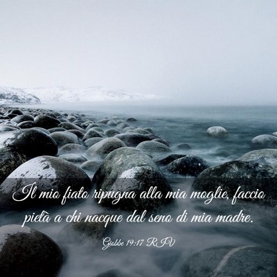 Picture 03 - Giobbe 19:17 RIV - Il mio fiato ripugna alla mia moglie, faccio - Bible Verse Picture
