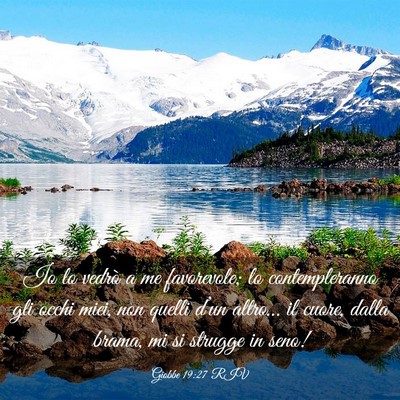 Picture 03 - Giobbe 19:27 RIV - Io lo vedrò a me favorevole; lo contempleranno - Bible Verse Picture