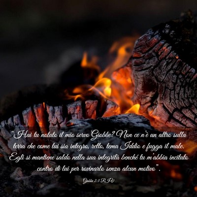 Picture 03 - Giobbe 2:3 RIV - “Hai tu notato il mio servo Giobbe? Non ce - Bible Verse Picture