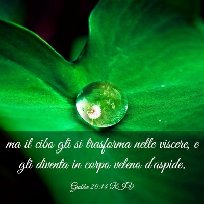 Picture 03 - Giobbe 20:14 RIV - ma il cibo gli si trasforma nelle viscere, e gli - Bible Verse Picture