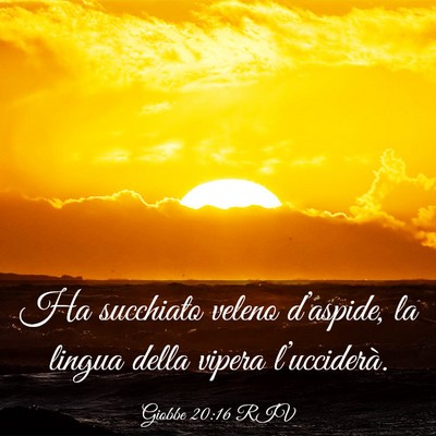 Picture 03 - Giobbe 20:16 RIV - Ha succhiato veleno d’aspide, la lingua della - Bible Verse Picture