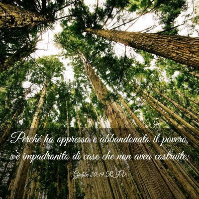 Picture 03 - Giobbe 20:19 RIV - Perché ha oppresso e abbandonato il povero, - Bible Verse Picture