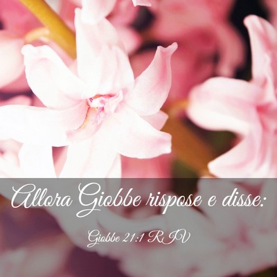Picture 03 - Giobbe 21:1 RIV - Allora Giobbe rispose e - Bible Verse Picture