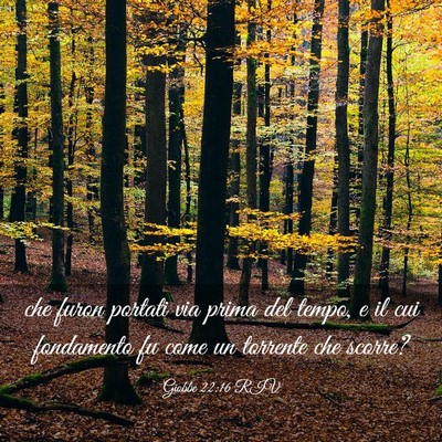 Picture 03 - Giobbe 22:16 RIV - che furon portati via prima del tempo, e il cui - Bible Verse Picture