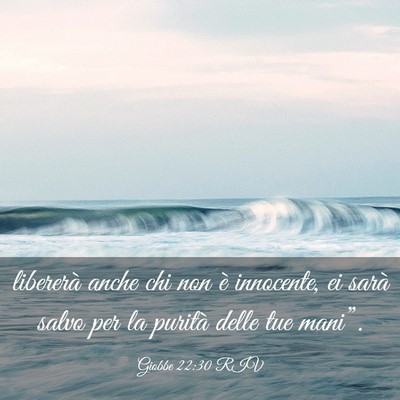 Picture 03 - Giobbe 22:30 RIV - libererà anche chi non è innocente, ei sarà - Bible Verse Picture