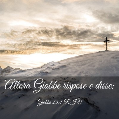 Picture 03 - Giobbe 23:1 RIV - Allora Giobbe rispose e - Bible Verse Picture